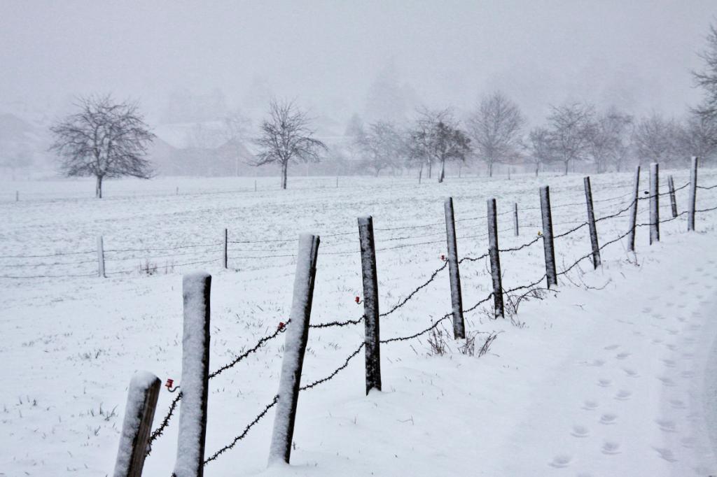 Schnee am Farrenpoint.jpg - Schnee am Farrenpoint / Bad Feilnbach